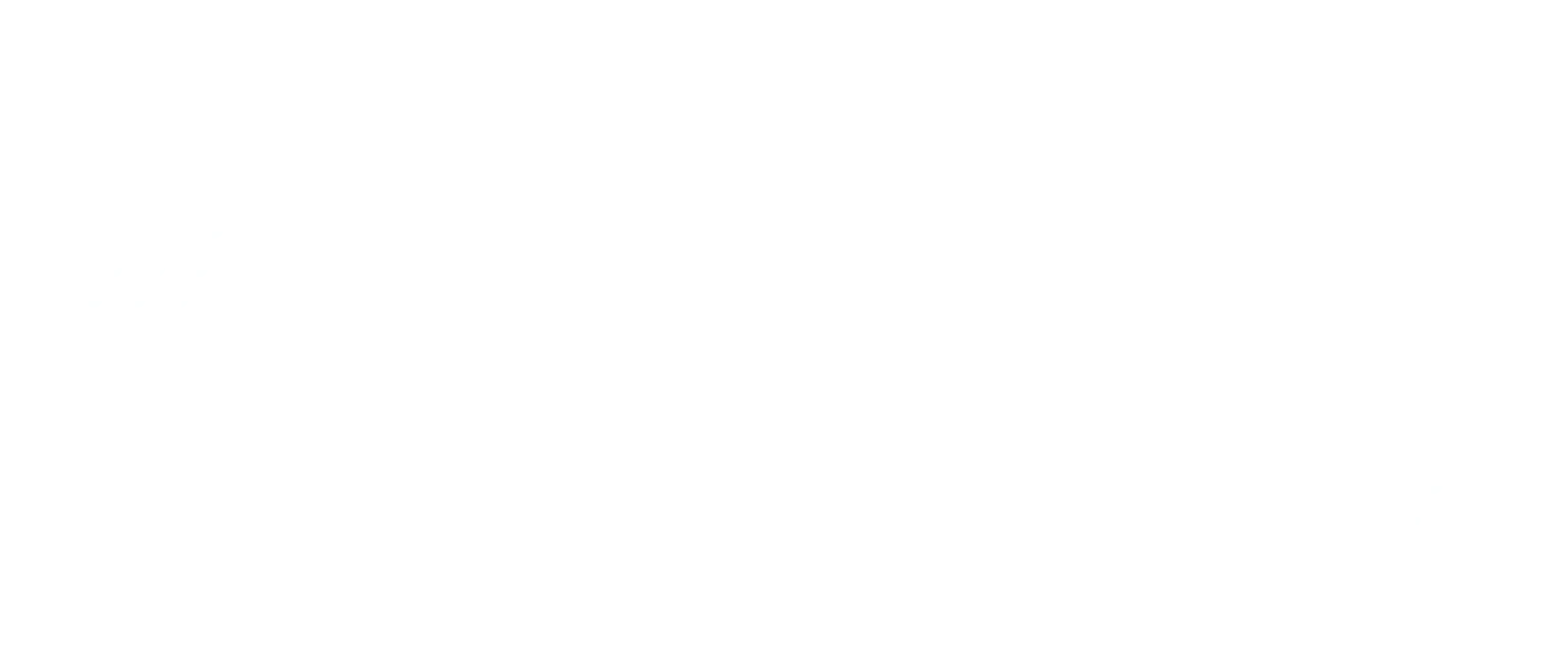 Black Friday Rica 2025